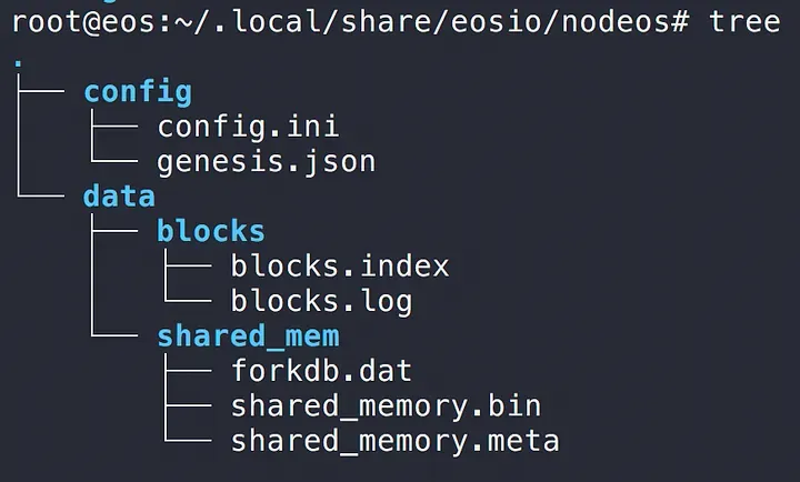 ~/.local/share/eosio/nodeos 폴더 내부 구조